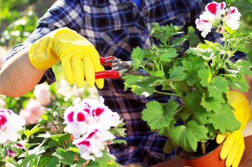 Illustration of cookie settings for Gardeners St Pauls Cray