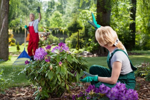 Green waste and debris removal in a St Pauls Cray garden