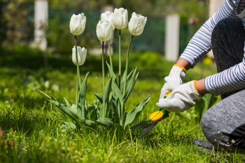 Professional gardeners in St Pauls Cray creating a tidy seasonal garden