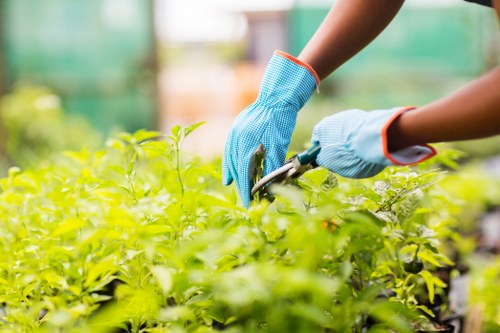 Customer raising a garden service concern for review
