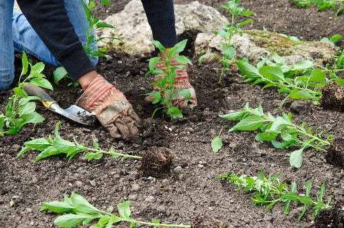 Gardeners applying health and safety checks before starting work