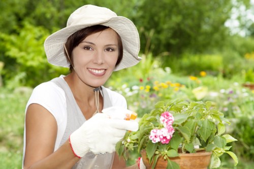 St Pauls Cray gardeners shaping hedges and improving outdoor spaces