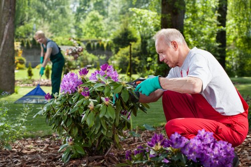 Professional gardeners completing a safe and insured service