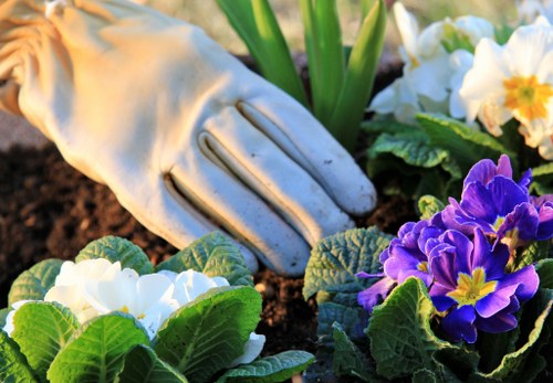 Marketing cookie preferences for a gardening website