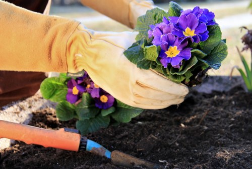 Charity reuse of garden items and equipment