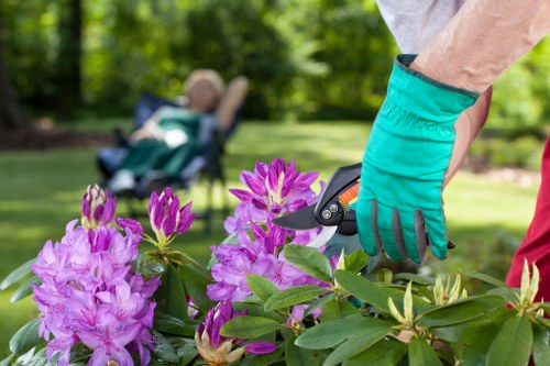 Low-carbon van used for sustainable garden services