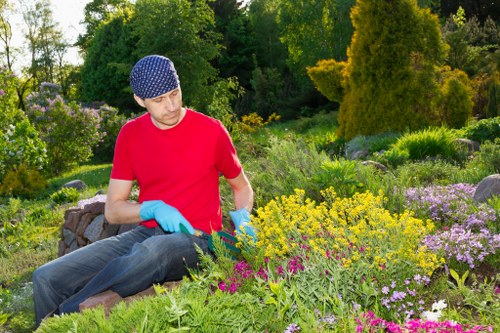 Maintenance pricing for a townhouse garden in St Pauls Cray