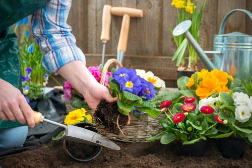 Screen-reader friendly gardening website content concept