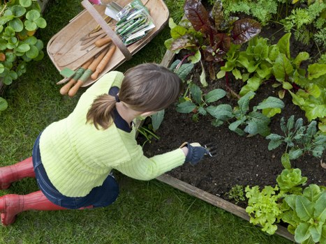 Local transfer station handling garden materials