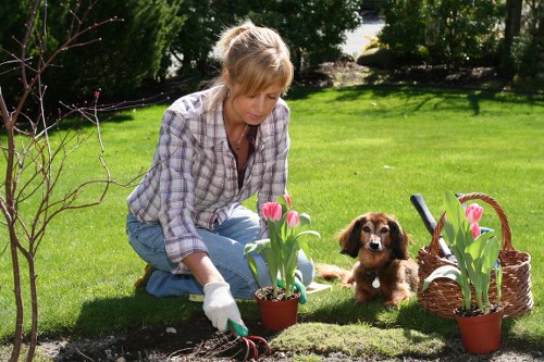 Garden hedge trimming in St Pauls Cray to improve kerb appeal