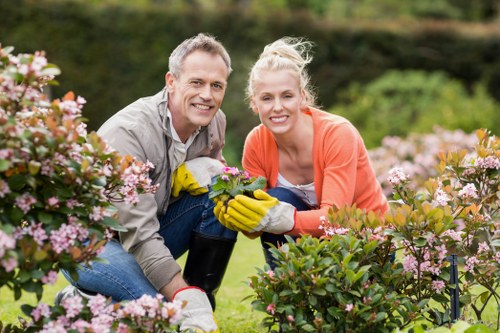 Regular mowing and feeding for lawn care in St Pauls Cray